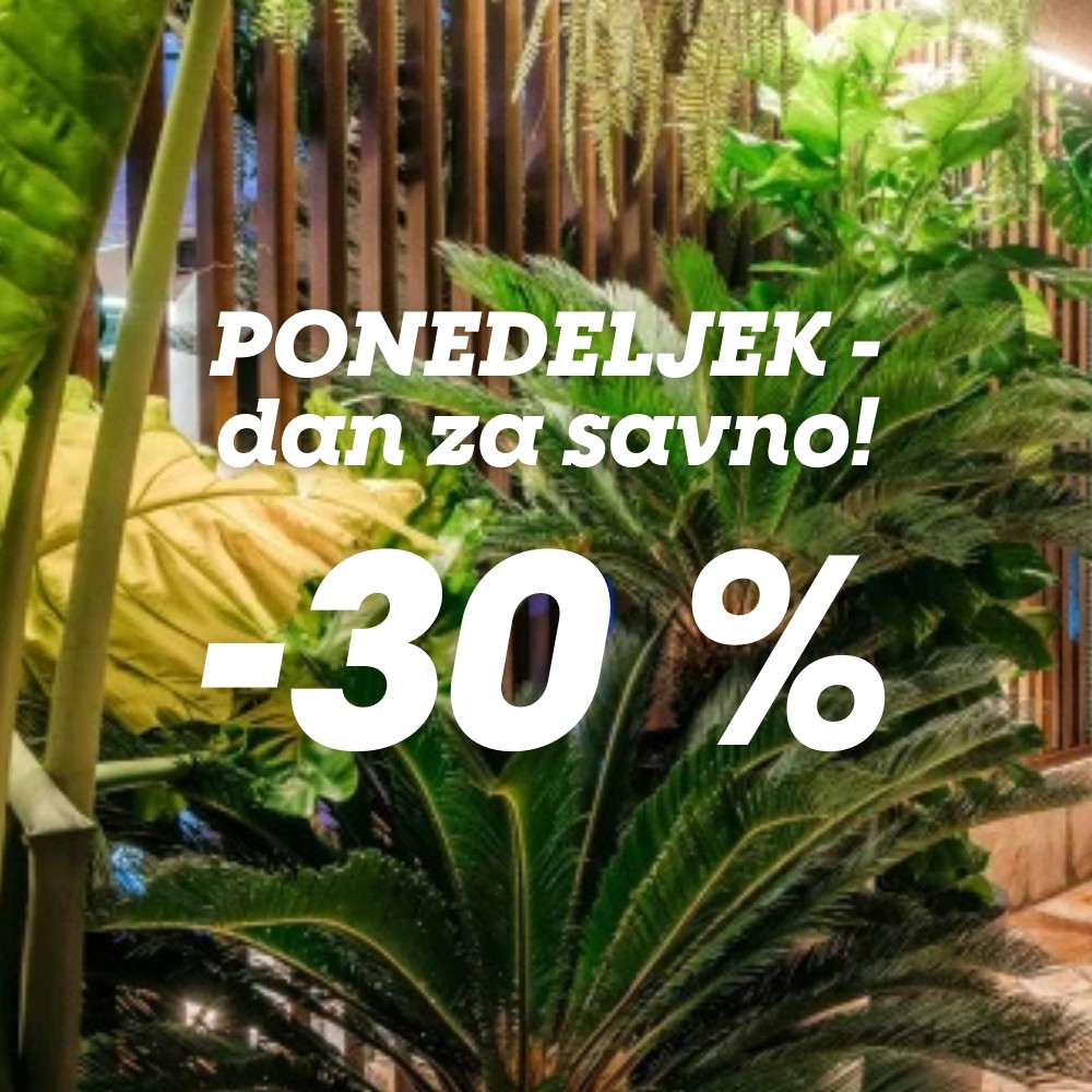 PONEDELJEK   dan za savno!  30 %