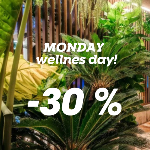 PONEDELJEK   dan za savno!  30en